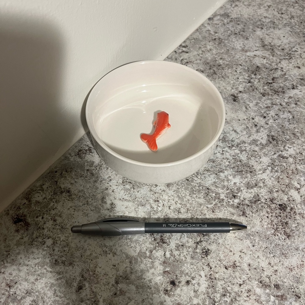 Goldfish Pet Bowl - Picture 2 of 4